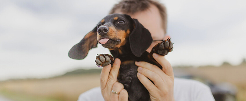 man playing with a puppy