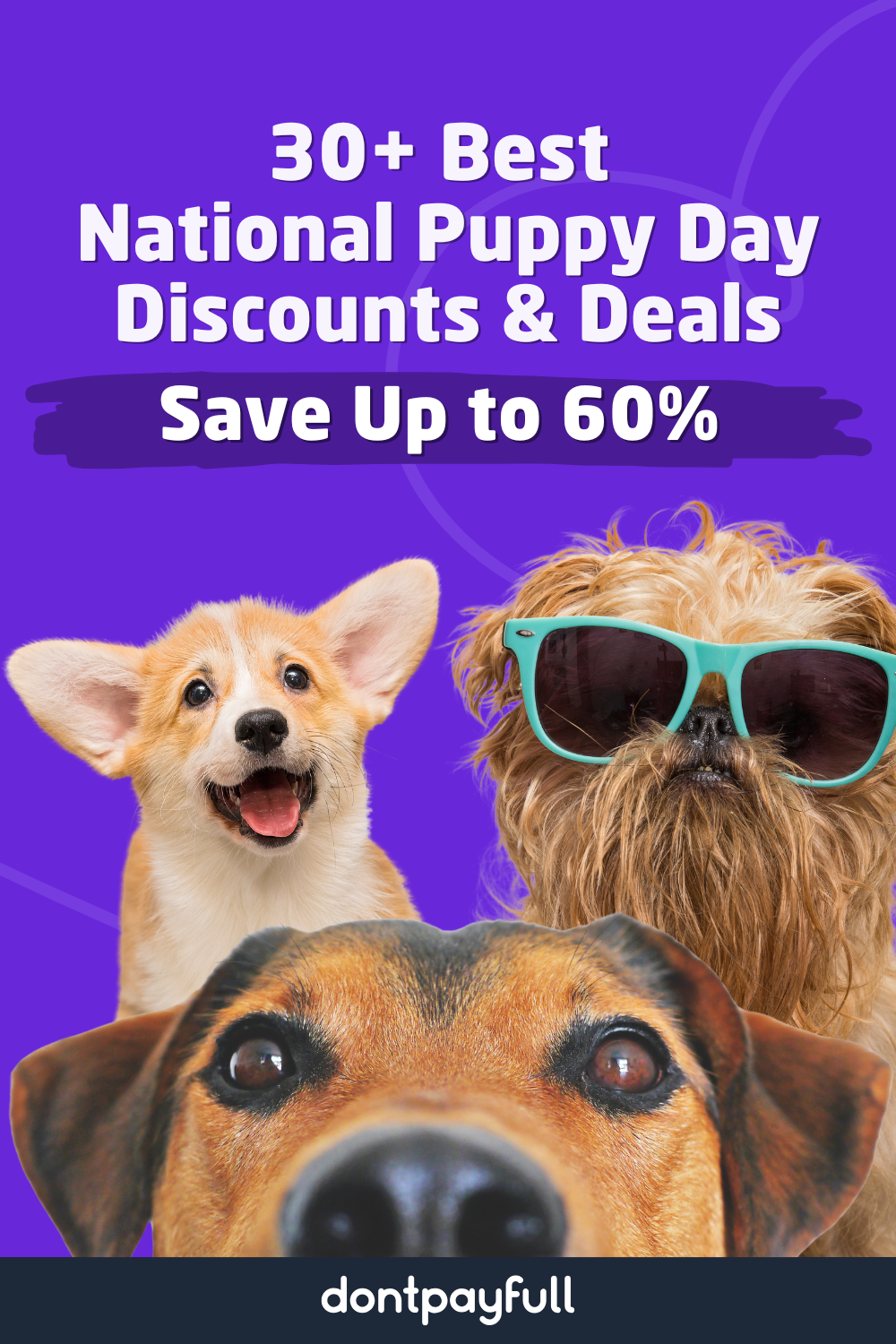 Best National Puppy Day Deals Pinterest Pin