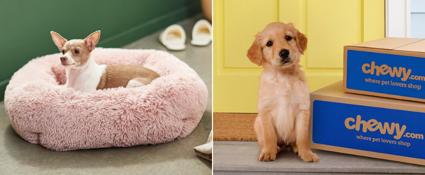 Autoship Free Delivery