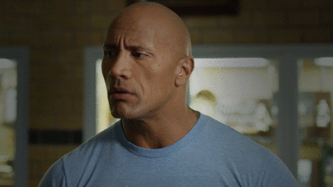 cool the rock GIF